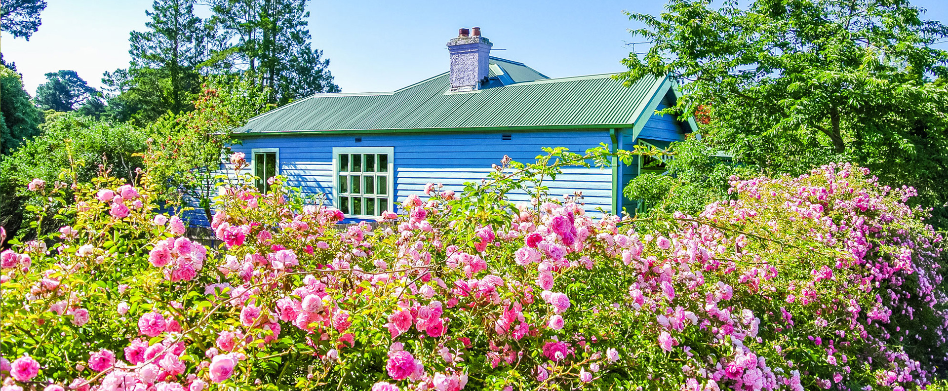 Sharry Home House_Of_Shardy_Home_Background | House Of Sharday